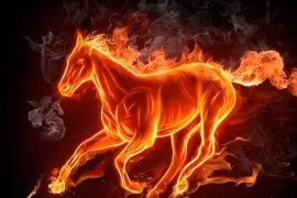 Quý nhân vây quanh, 4 tuổi đỏ cả tiền lẫn tình 2 tháng tới