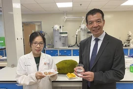 Sản xuất axit lactic từ phần hạt mít thải bỏ