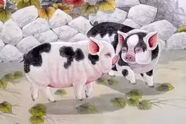 Hung tinh chiếu mệnh: 4 tuổi dễ mất cả tình lẫn tiền năm 2025