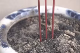 Rút chân hương trước hay sau lễ cúng ông Công ông Táo?