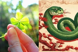 Định sẵn mệnh giàu, 3 tuổi may mắn, cả đời không lo hết tiền