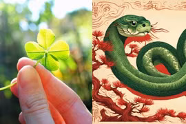 Định sẵn mệnh giàu, 3 tuổi may mắn, cả đời không lo hết tiền