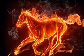 Trời định số giàu, 4 tuổi vừa trúng số vừa lãi đậm trước Tết