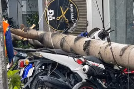 Mưa giông khiến cây xanh bật gốc, đè nhiều xe máy ở Đồng Nai