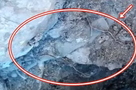 Lật tảng đá, thấy thứ lạ lùng, chuyên gia thốt lên "bảo vật"