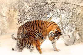 Tháng 4 có lộc, 3 con giáp thăng hạng sự nghiệp, tiền tài lên hương