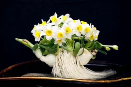 Các loại hoa để bàn làm việc hợp phong thủy theo từng mệnh