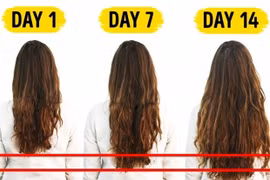 8 món thực phẩm nên ăn nhiều để tóc dài nhanh