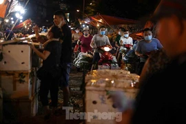 Tấp nập khu chợ đêm mùa quả chín rẻ nhất Hà Nội