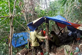 Mỏ vàng lậu của tướng cướp năm xưa tiếp tục bị khai thác trái phép