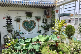 Cách thiết kế vườn rau sân thượng mùa dịch vừa đơn giản lại đẹp