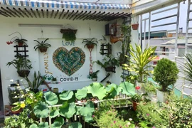 Cách thiết kế vườn rau sân thượng mùa dịch vừa đơn giản lại đẹp