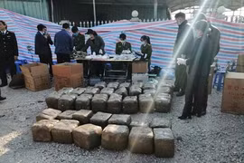 Những vụ triệt phá ma túy khủng năm 2020