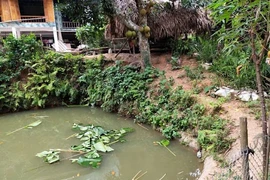 Bé gái 4 tuổi rơi xuống ao nhà đuối nước tử vong