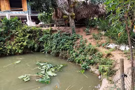 Bé gái 4 tuổi rơi xuống ao nhà đuối nước tử vong