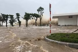 Khẩn trương ứng phó bão số 11 đang hướng vào miền Trung