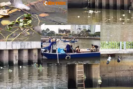 Hãi hùng tuyến du lịch TP HCM bốc mùi rác, chuột chết 