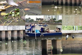 Hãi hùng tuyến du lịch TP HCM bốc mùi rác, chuột chết 