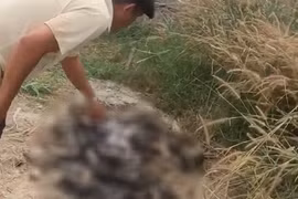 Hiện trường vụ việc.