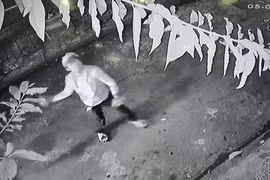 Hình ảnh cắt từ camera vụ việc.