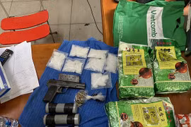 Tang vật thu giữ.