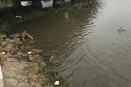 Hiện trường vụ việc.