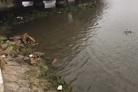 Hiện trường vụ việc.