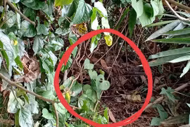 Hiện trường vụ việc. Ảnh: N.N 