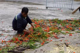 Hiện trường vụ việc.