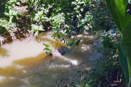 Tìm thấy thi thể người phụ nữ rớt xuống cống thoát nước bị nước cuốn trôi mất tích