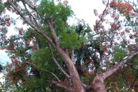 Hiện trường vụ việc.