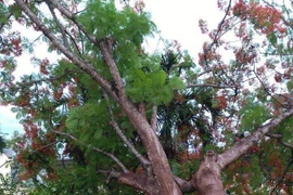 Hiện trường vụ việc.