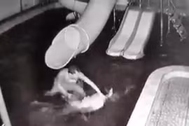 Hình ảnh vụ việc.