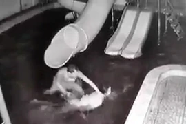 Hình ảnh vụ việc.