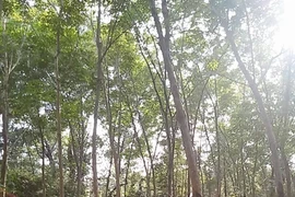 Hiện trường vụ việc.