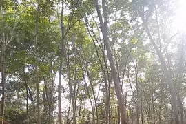 Hiện trường vụ việc.