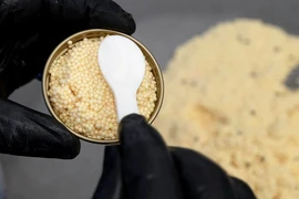 Tò mò loài cá sản sinh “báu vật” đắt giá nhất hành tinh 