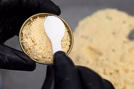 Tò mò loài cá sản sinh “báu vật” đắt giá nhất hành tinh 