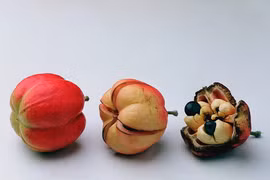 Mất mạng như chơi với quả Ackee đặc sản của người Jamaica