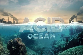 Cực sốc: Trái đất có thể bị nhấn chìm trong 6m nước vì điều này? 