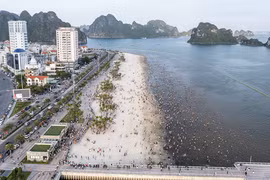 Người Hạ Long: Chưa bao giờ thấy nhiều ôtô như vậy, qua đường cũng khó