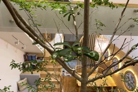 Ngôi nhà tông màu gỗ, gầm cầu thang tạo thành góc chill hóng gió