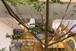 Ngôi nhà tông màu gỗ, gầm cầu thang tạo thành góc chill hóng gió