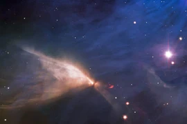 Nghìn năm có một: Bắt được "con bướm ma quái” bay xuyên qua vũ trụ 