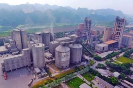 Loạt sai phạm tại các công ty con của Vicem: Kiểm toán Nhà nước yêu cầu làm rõ trách nhiệm