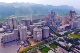 Loạt sai phạm tại các công ty con của Vicem: Kiểm toán Nhà nước yêu cầu làm rõ trách nhiệm