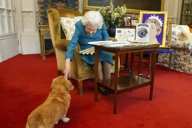 Ai là người chăm sóc bầy corgi của cố Nữ hoàng Anh? 