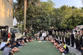 Bắt sới gà cực lớn núp sâu trong trang trại ở Vĩnh Phúc