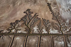 Sự biến đổi kinh hoàng của Trái đất khiến con người run sợ