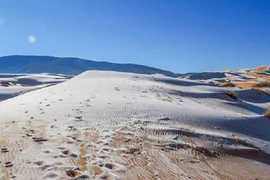 Người dân thích thú tới sa mạc Sahara để... nặn người tuyết